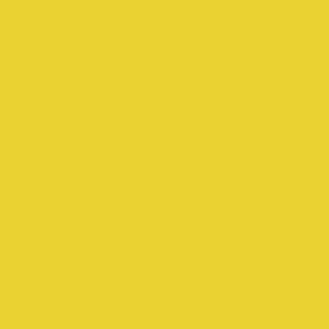 AMARILLO # 1