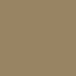 BEIGE-DIRETOR