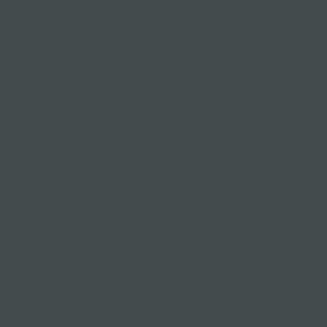 GRIS-#1