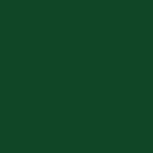VERDE-BCI